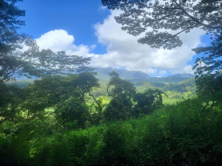 Kuilau Ridge Trail in Kauai