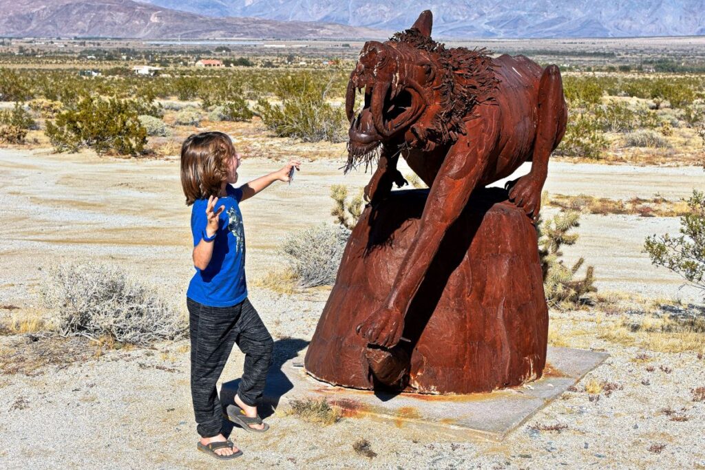 Galleta Meadows Saberwolf in Borrego Springs, CA