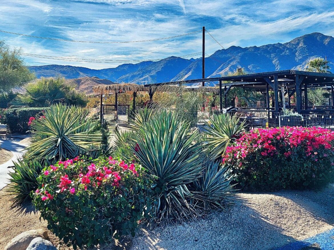 How to Have the Best Weekend in Borrego Springs, California