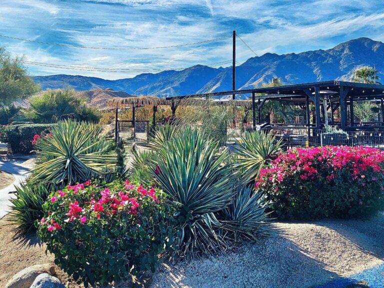 Borrego Springs - view from Red Ocotillo restaurant
