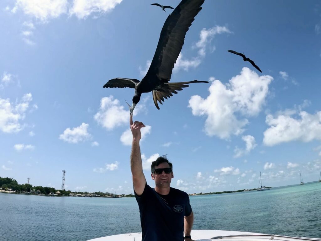 Feeding the Frigatebirds during our snorkel tour with Latitude 17 Tours in Belize.