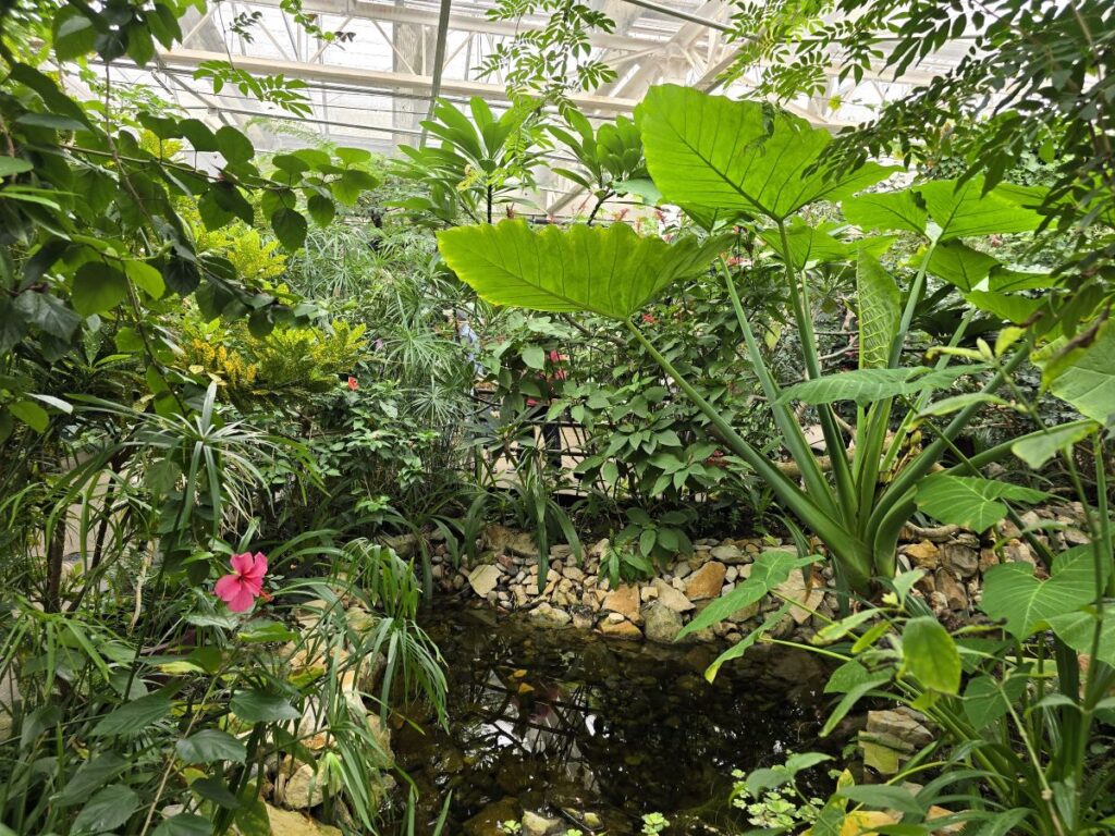Butterfly Pavilion in Westminster, Colorado