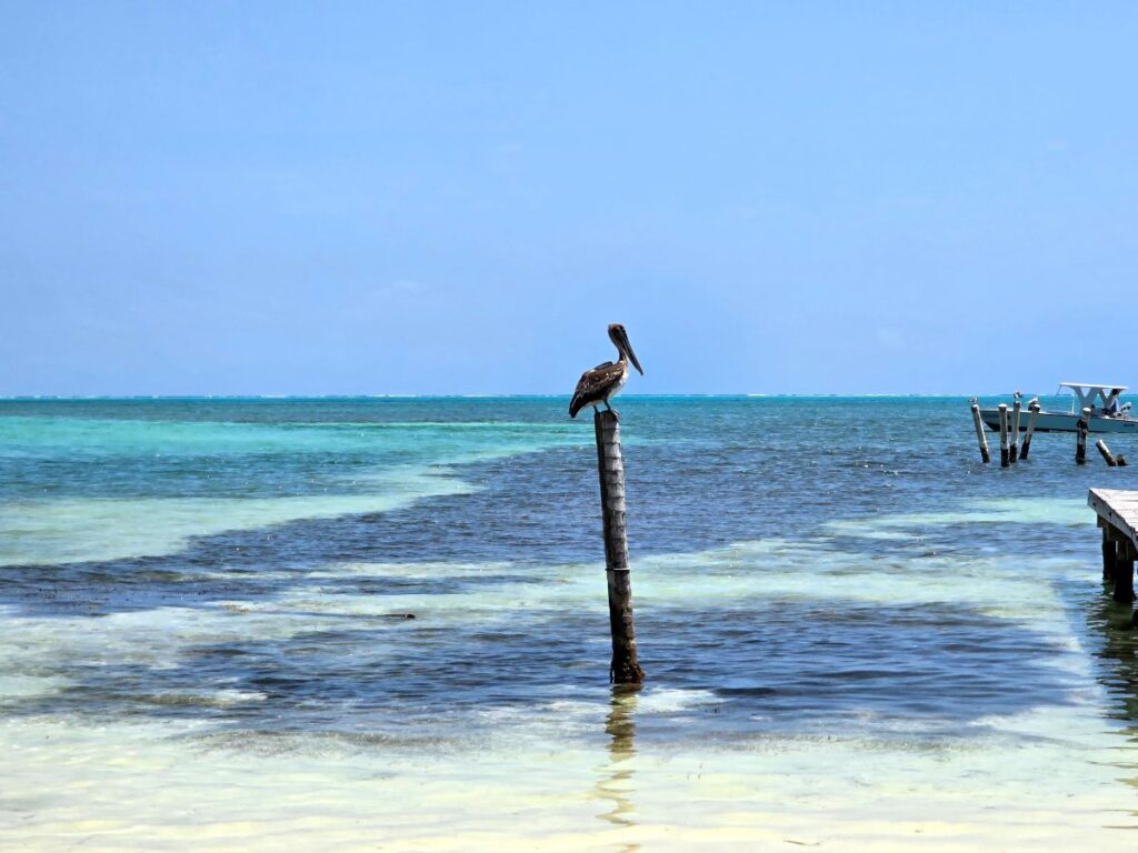 Caye Caulker, Belize