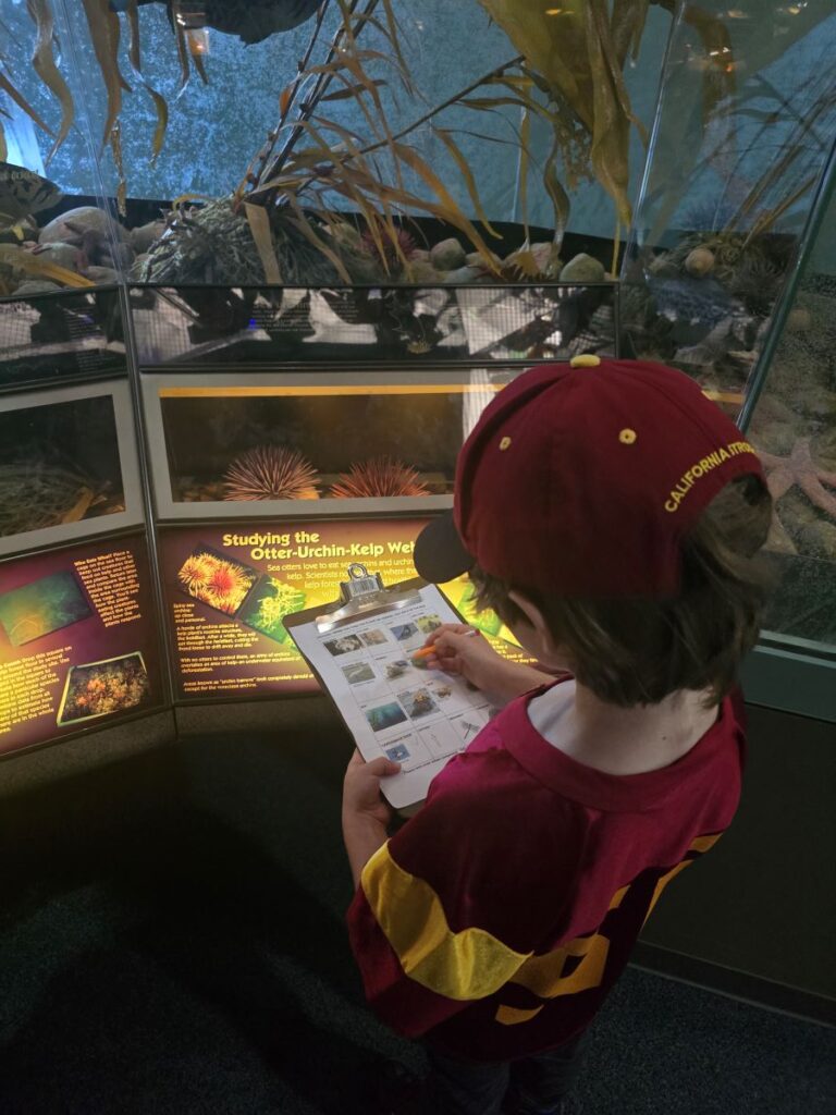 Patuxent Research Refuge scavanger hung - Laurel, MD