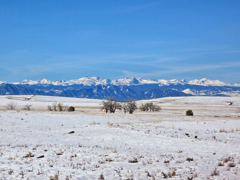Scenic view at the Rocky Mountain Arsenal National Wildlife Refuge in Denver, Colorado